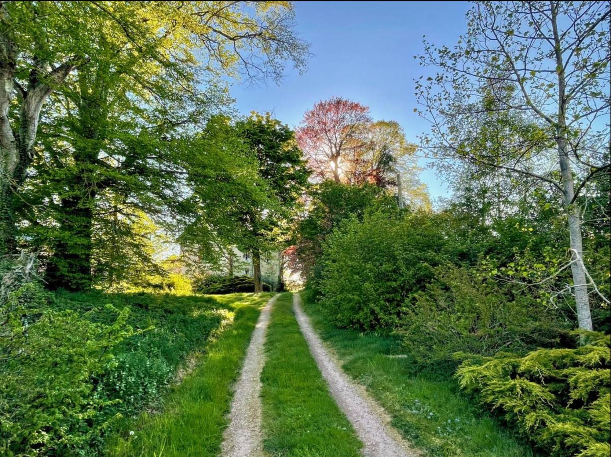 Chateau De La Combe La Celle  ภายนอก รูปภาพ