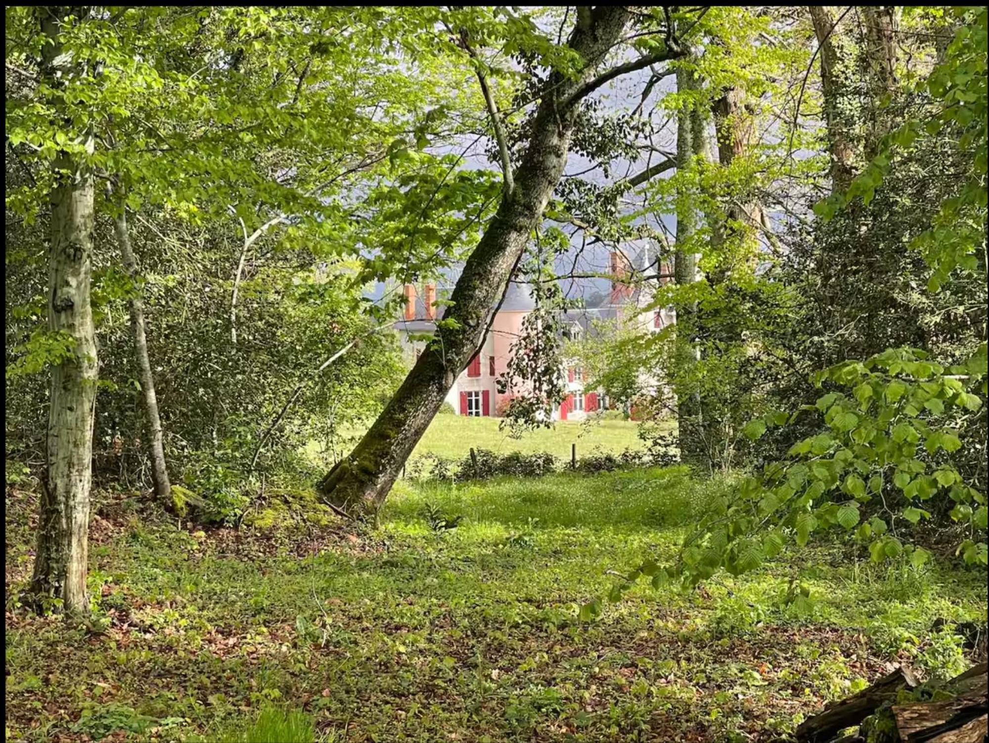 Chateau De La Combe La Celle  ภายนอก รูปภาพ
